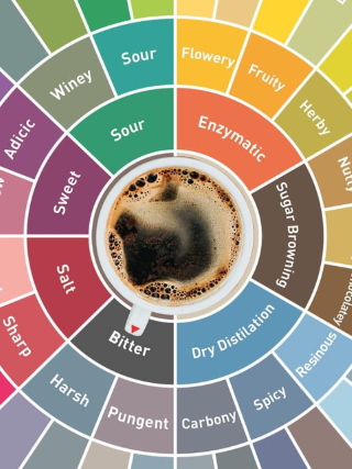 Các loại axit có trong cà phê 8